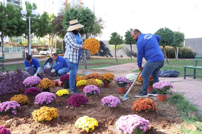  TOROSLARIN YEL ALANLARI KASIMPATIYLA GLYOR...