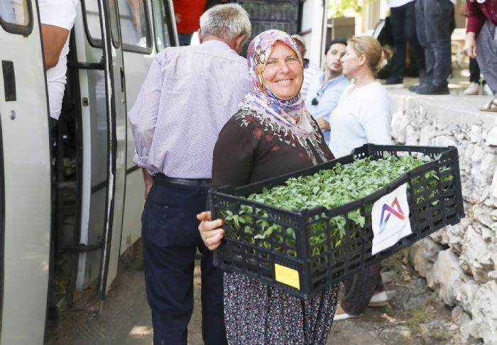 MERSN BYKEHR GLNARDA DOMATES FDES DAITTI...