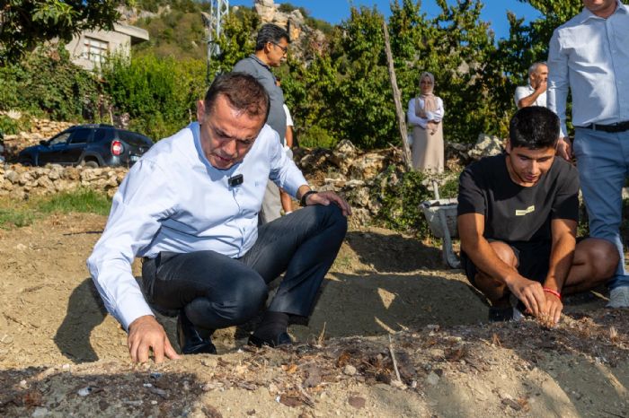 Yeniehir Belediyesi’nin hibe ettii safran soanlar toprakla bulutu...