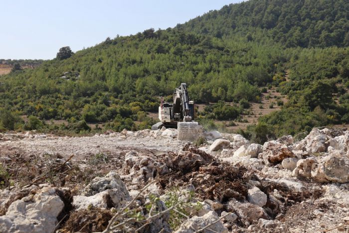   TOROSLARDA SOKAK HAYVANLARI N DOAL YAAM ALANI KURULUYOR