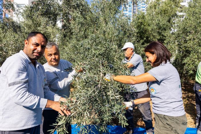MEZTL ETME ZEYTNLE DESTEK VERYOR...