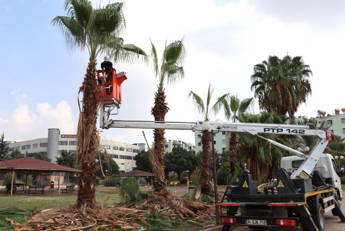 TOROSLAR BELEDYES PARK VE YEL ALANLARDA ALIMALARINI SRDRYOR...