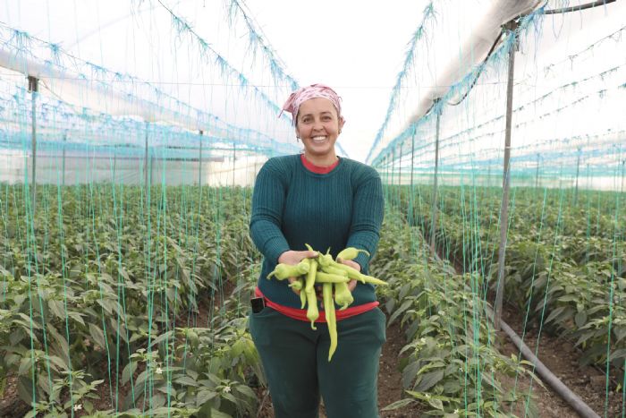 MERS�N B�Y�K�EH�R�DEN �RET�C�LERE SERA �P� VE YAPI�KANLI TUZAK DESTE��...