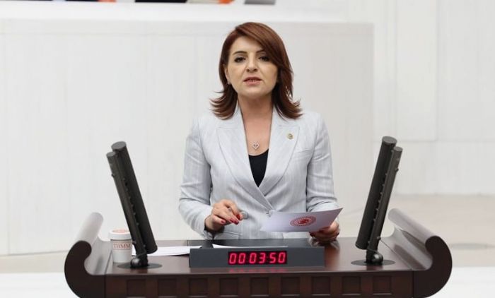 CHP’ li K: DMDli ocuklarn Yaam Hakk Balara Deil, Devletin Sosyal Politikalarna Em